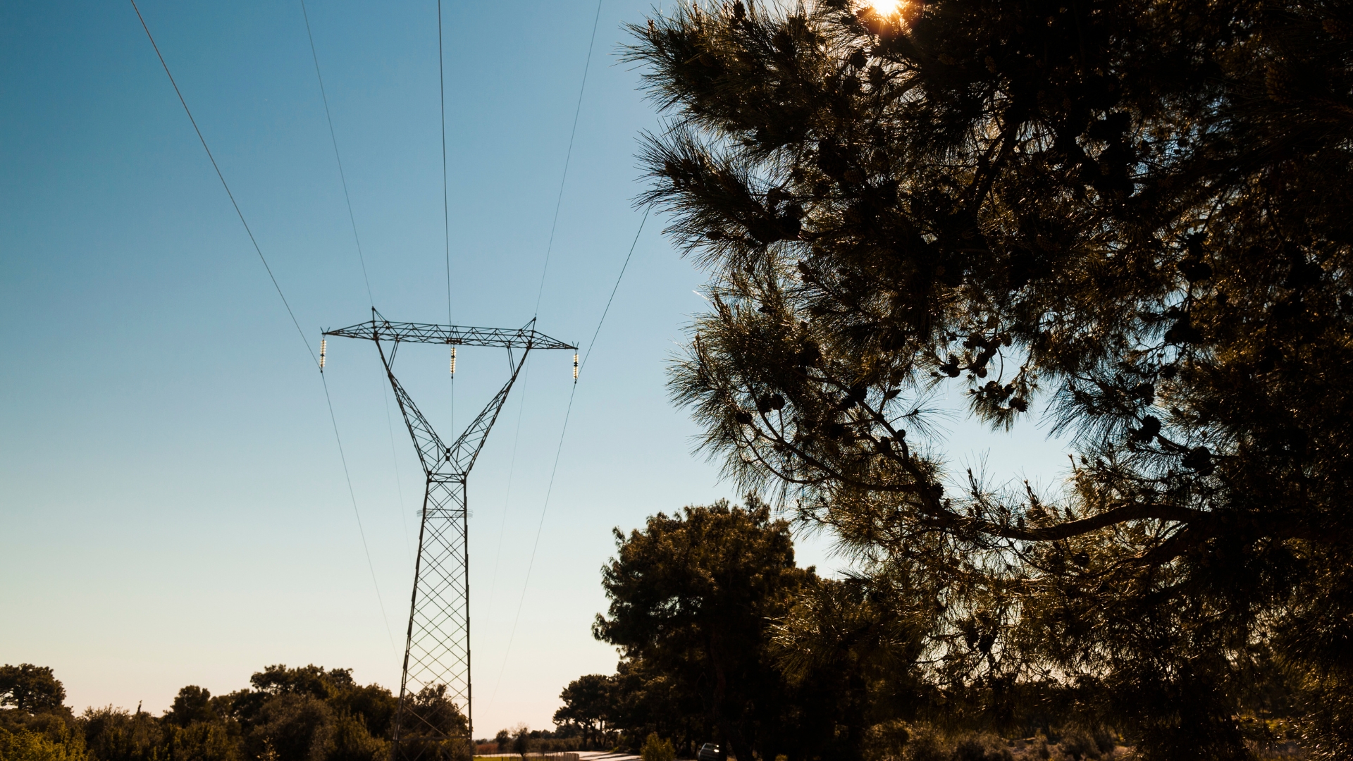 Inspección de líneas eléctricas